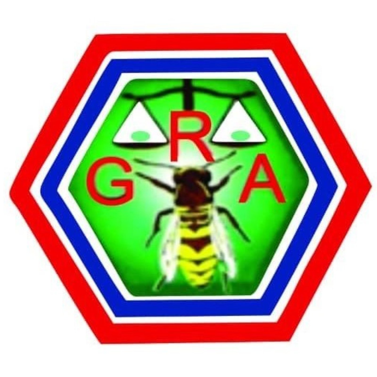 471587820_1129021838616720_1694214473502660154_n