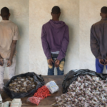 Senegal police arrest three in Kédougou drug bust near Mali border