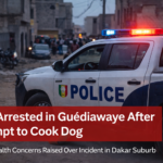 Guédiawaye Man Arrested After Attempt to Cook Dog Sparks Public Health Alarm