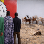 Three arrested in Kaolack livestock theft bust