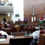 Gambia leads Africa in ratifying convention against gender-based violence